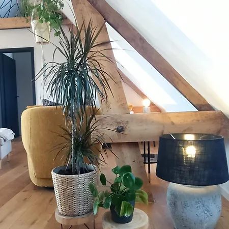 Sous Les étoiles De Gaume * Virton