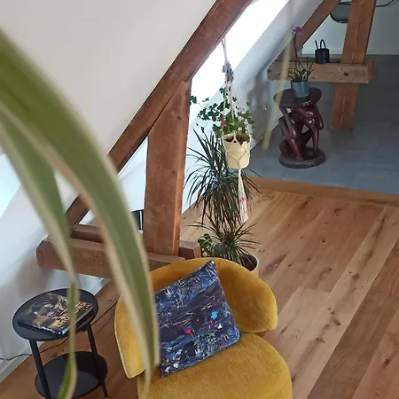 Sous Les Etoiles De Gaume Апартаменты